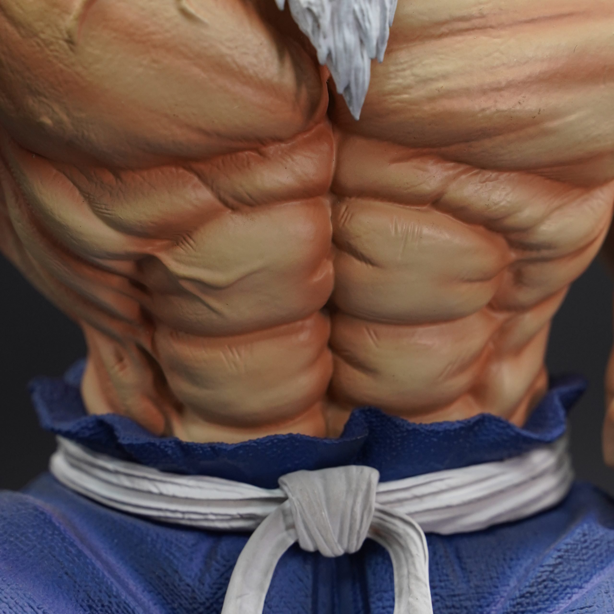 【pre order】Dragon Ball Master Roshi Resin Statue 30cm 1/6 - Image 8